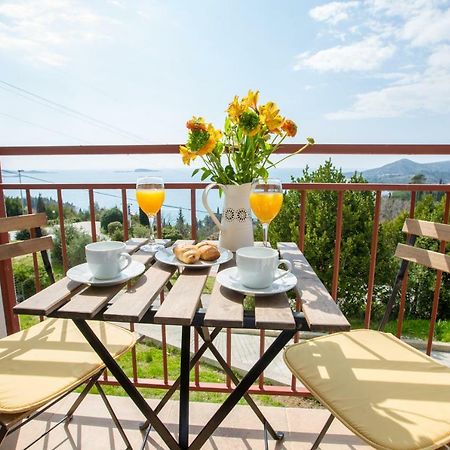 Villa Pergola-Apartment Toni Mlini Bagian luar foto